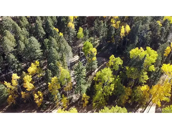 714 Will Stutley, Divide, CO 80814