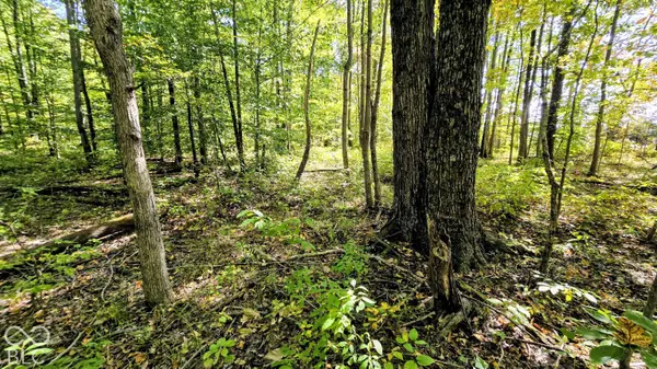 3255 Lemon RD, Madison, IN 47250