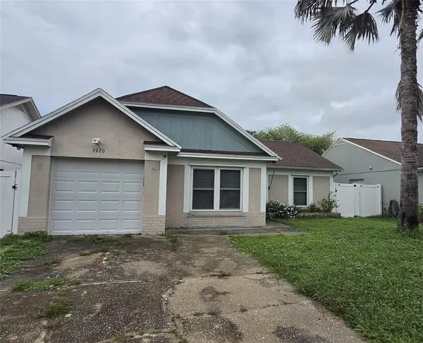 7920 GEORGE WASHINGTON LN, Tampa, FL 33637