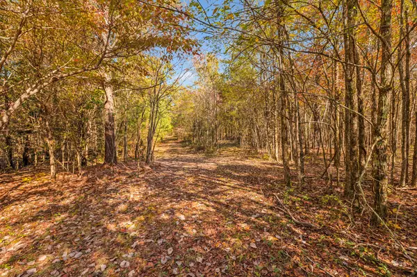 7489 Shoals Branch Rd, Primm Springs, TN 38476