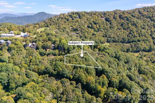 731 McKinney Gap DR, Mars Hill, NC 28754
