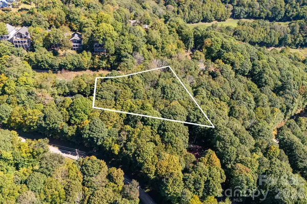 731 McKinney Gap DR, Mars Hill, NC 28754