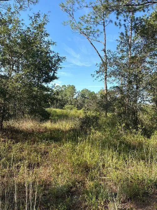 123 RD LN, Bronson, FL 32621