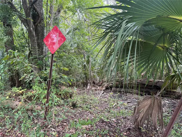 10103 W MAIN ST, Homosassa, FL 34448