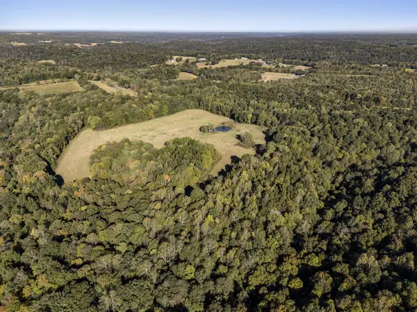 0 Maple Grove Rd, Dickson, TN 37055