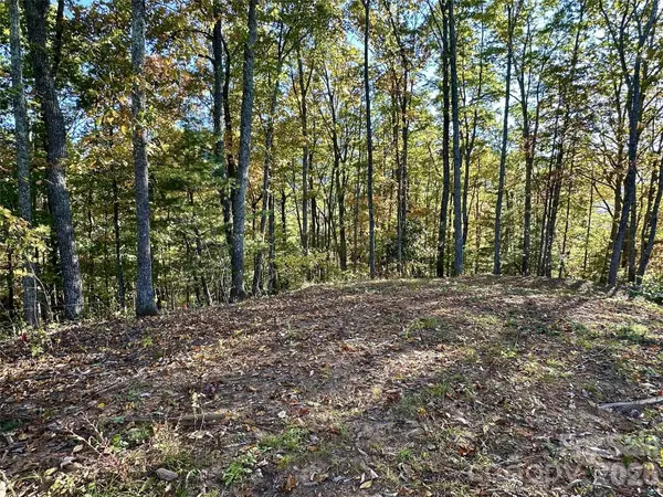534 Cicada DR, Maggie Valley, NC 28751