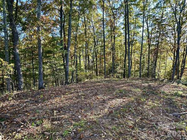 534 Cicada DR, Maggie Valley, NC 28751