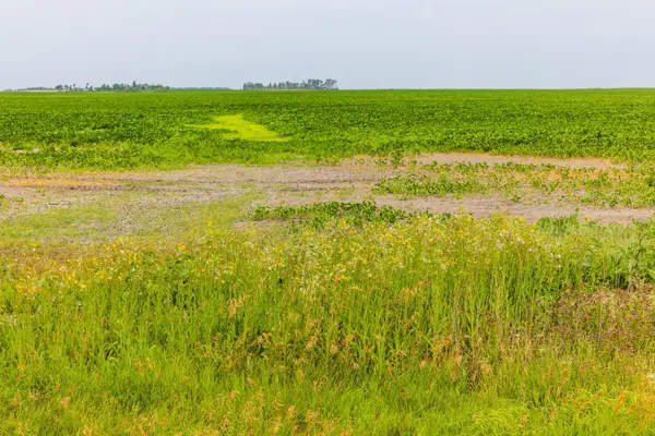 TBD 97 St NE Lot 3, Bottineau, ND 58318