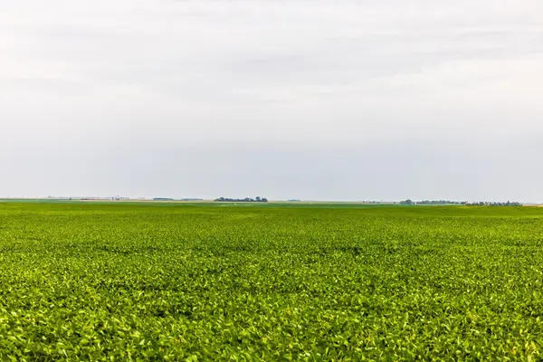 TBD 97 St NE Lot 3, Bottineau, ND 58318