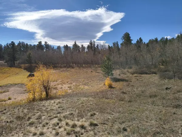 2225 N County Road 73c, Red Feather Lakes, CO 80545