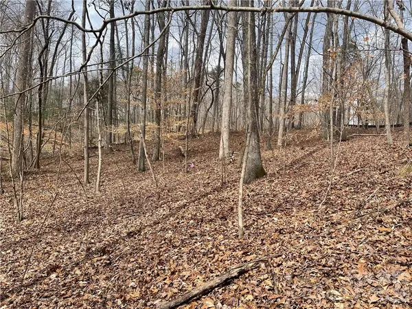 Lot 91 TIDEWATER CT #91, Norwood, NC 28128