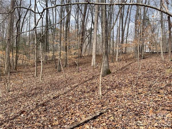 Lot 91 TIDEWATER CT #91, Norwood, NC 28128