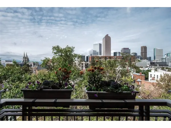 1630 N Clarkson #516, Denver, CO 80218