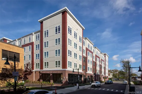 116 Searing AVE #N315, Mineola, NY 11501