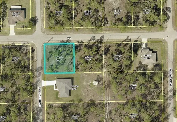 2800 E 23RD ST, Alva, FL 33920