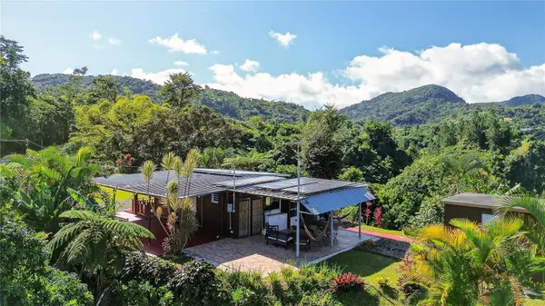 Alturitas Cacao PARCEL B, Orocovis, PR 00720
