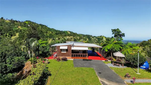 Alturitas Cacao PARCEL B, Orocovis, PR 00720