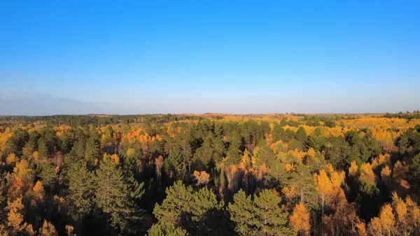 TBD40 Highway 135 N, Tower, MN 55790