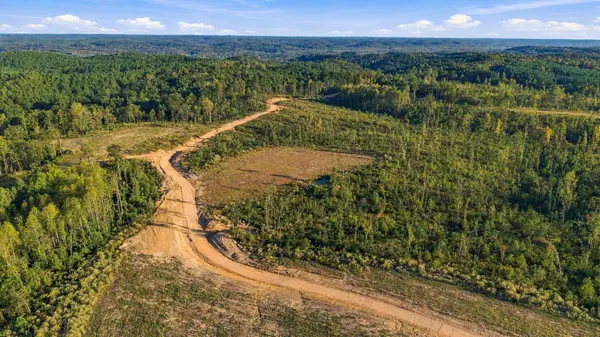 0 Birdsong Road, Holladay, TN 38341