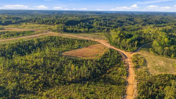 0 Birdsong Road, Holladay, TN 38341