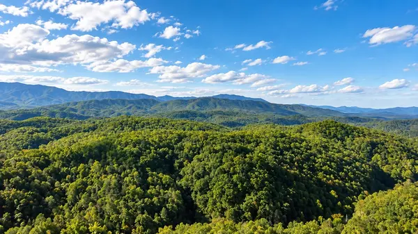 4417 Wilhite Rd, Cosby, TN 37722