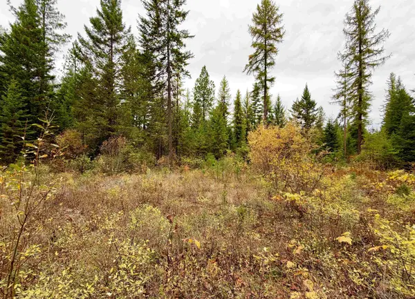 42XX Bussard Lake Rd, Loon Lake, WA 99148