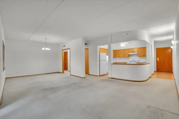 55 S Hale ST #207, Palatine, IL 60067