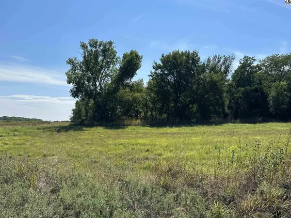 W Parallel & S Langdon Rd, Langdon, KS 67583