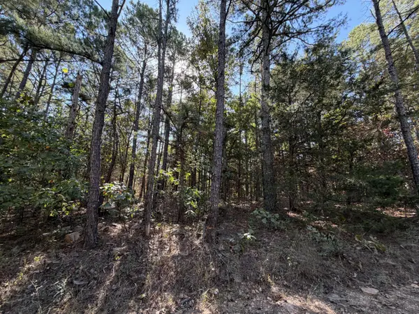 000 Texas Tower RD, Licking, MO 65542