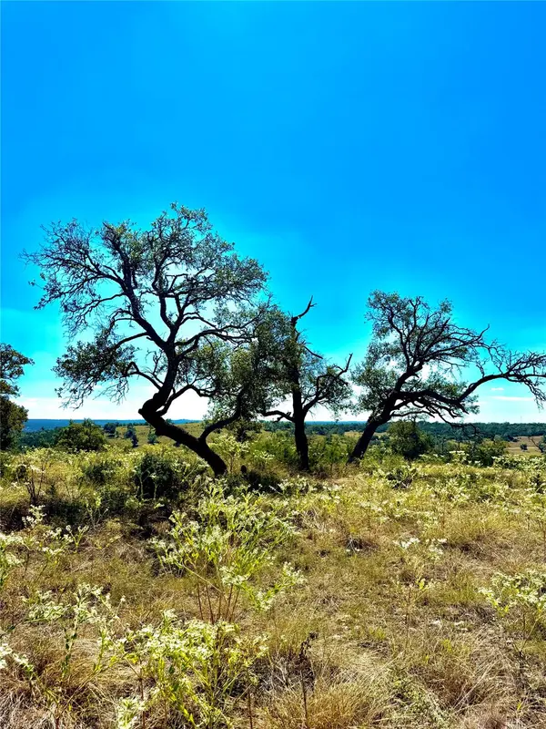 TBD Tract 19 Buckskin PATH, Morris Ranch, TX 78624