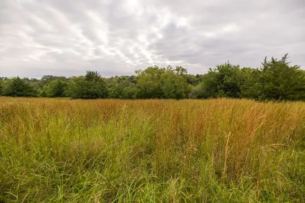 4281 Old Havana TRL, Mcfall, MO 64657
