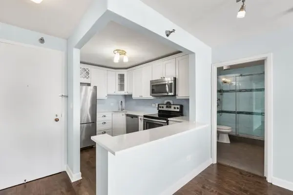 111 W Maple ST #1711, Chicago, IL 60610
