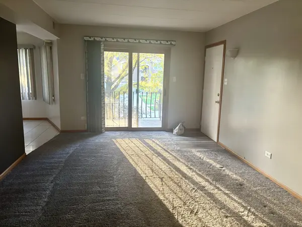 8805 S 79 AVE #11, Hickory Hills, IL 60457