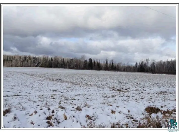 TBD Willow Rd, Zim, MN 55738