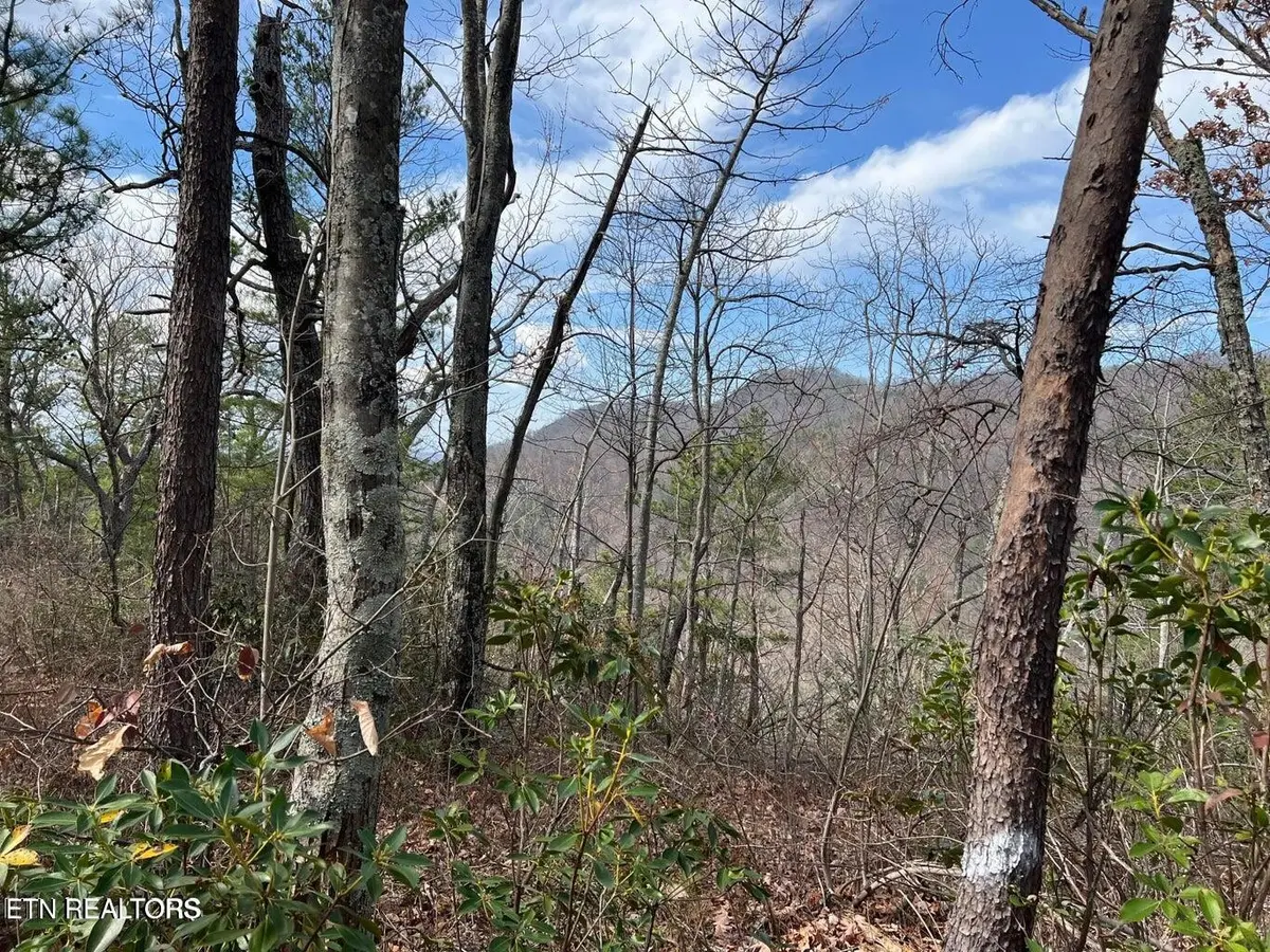 0 Chestnut Ridge Court, Sevierville, TN 37876