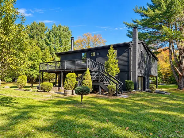 66 Salem Ridge CIR, Parksville, NY 12768