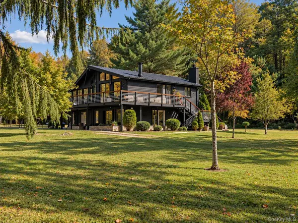 66 Salem Ridge CIR, Parksville, NY 12768
