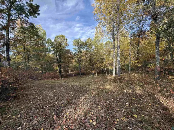 51190 Loon Echo Ln, Barnes, WI 54873