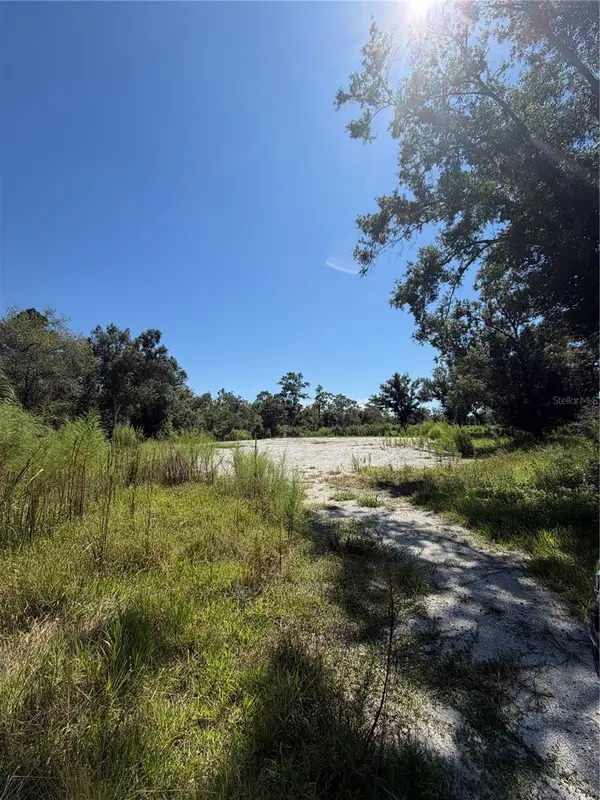 1428 E CHARLES ST, Arcadia, FL 34266