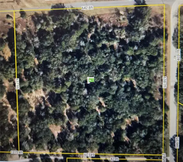 17701 SEIDNER RD, Winter Garden, FL 34787