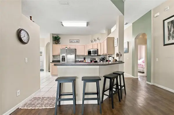 313 PLUMOSO LOOP, Davenport, FL 33897