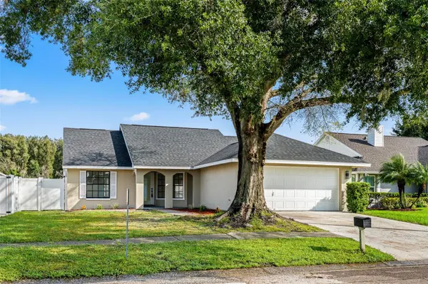 7131 HOLLOWELL DR, Tampa, FL 33634