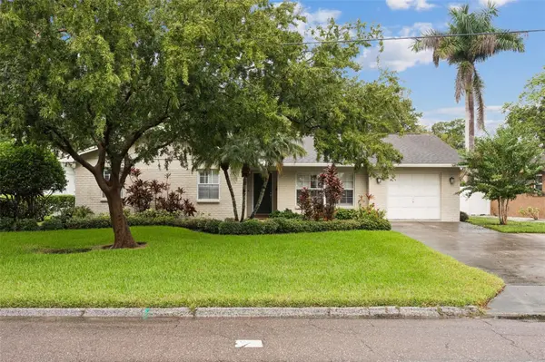 4208 N RIVER VIEW AVE, Tampa, FL 33607