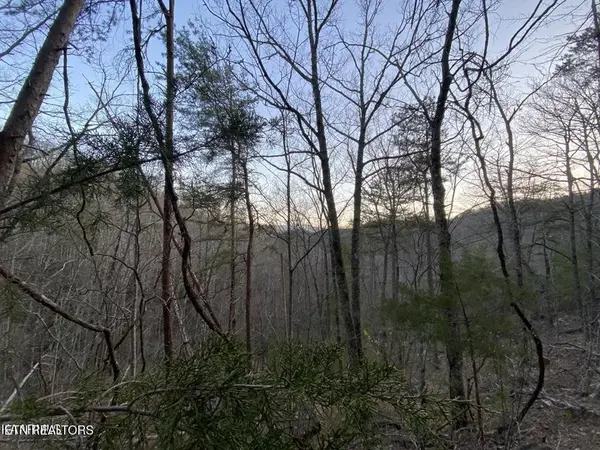 0 Beechwood St, Sevierville, TN 37876