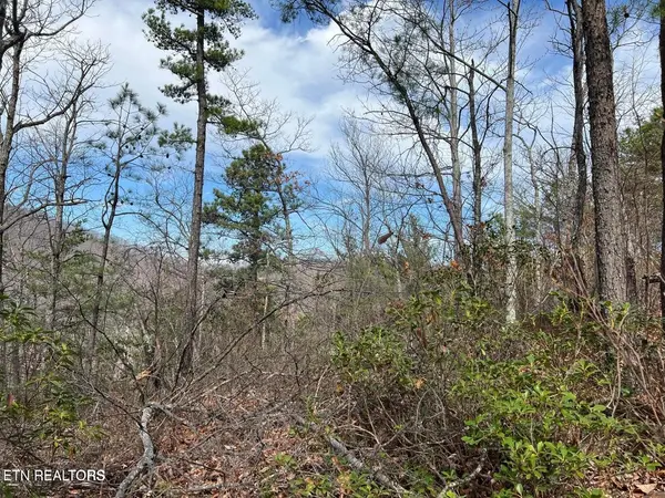 0 Chestnut Ridge Court, Sevierville, TN 37876