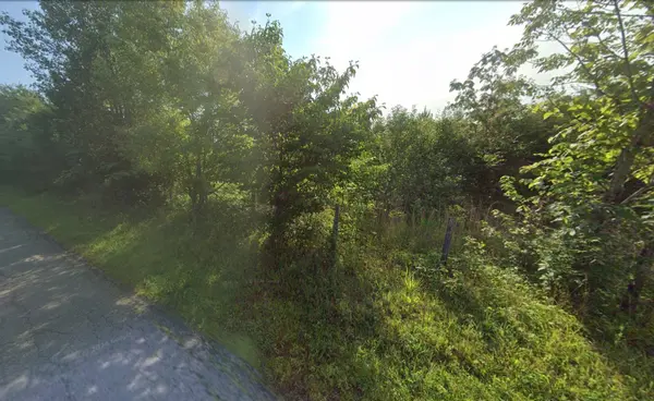 855 Bill Jones Rd, Afton, TN 37616