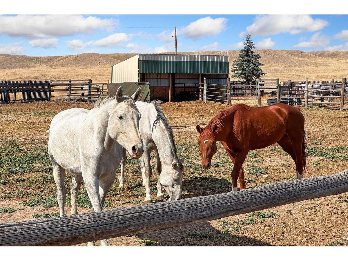70521 County Road 138, Carr, CO 80612