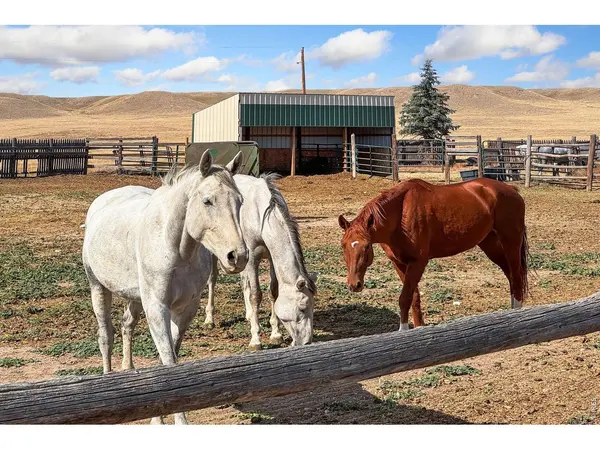 70521 County Road 138, Carr, CO 80612