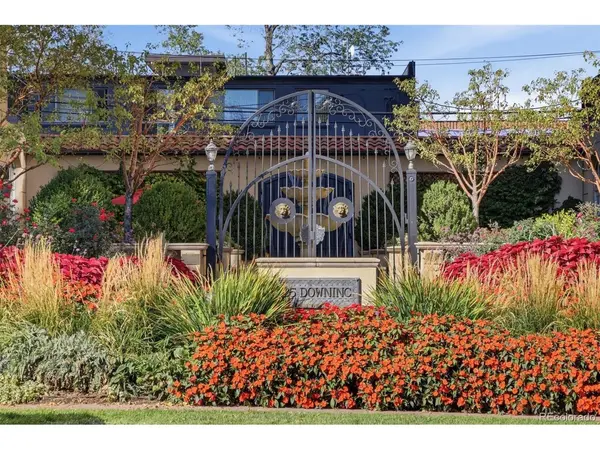 25 N Downing #2-203, Denver, CO 80218