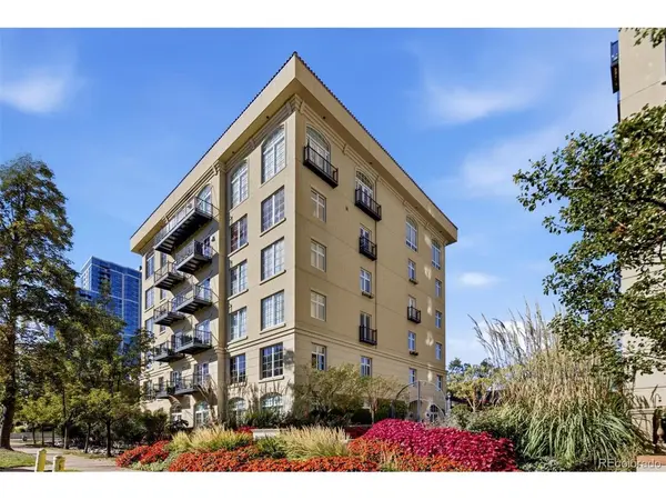 25 N Downing #2-203, Denver, CO 80218